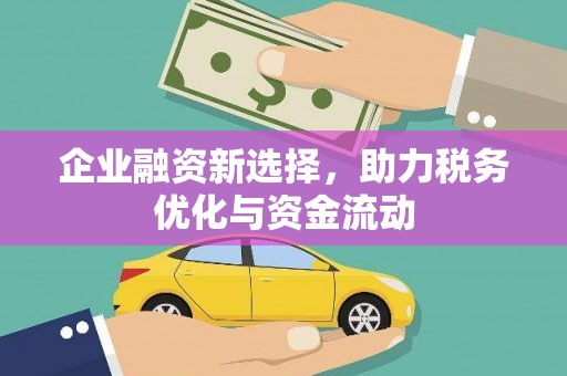 朱家尖企业融资新选择，助力税务优化与资金流动