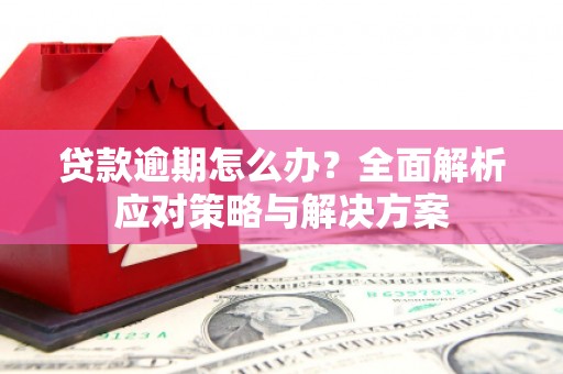 朱家尖贷款逾期怎么办？全面解析应对策略与解决方案