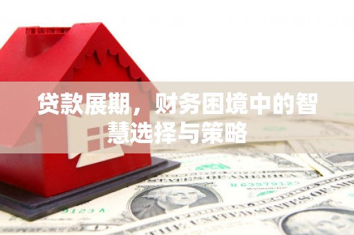朱家尖贷款展期，财务困境中的智慧选择与策略