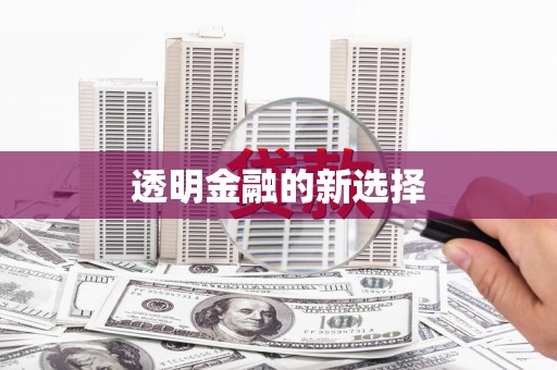 朱家尖透明金融的新选择