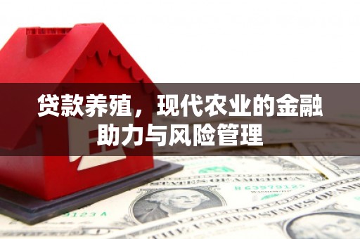 朱家尖贷款养殖，现代农业的金融助力与风险管理