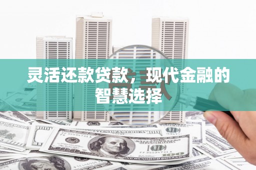 朱家尖灵活还款贷款，现代金融的智慧选择