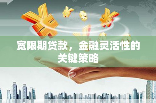 朱家尖宽限期贷款，金融灵活性的关键策略