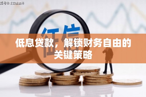 朱家尖低息贷款，解锁财务自由的关键策略