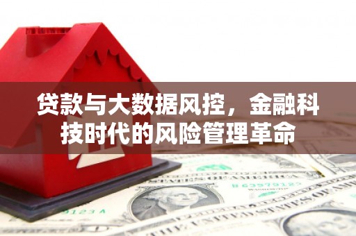 朱家尖贷款与大数据风控，金融科技时代的风险管理革命