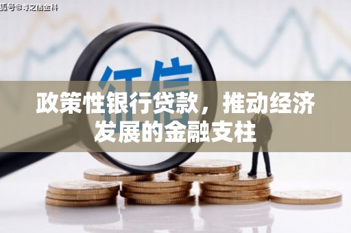 朱家尖政策性银行贷款，推动经济发展的金融支柱