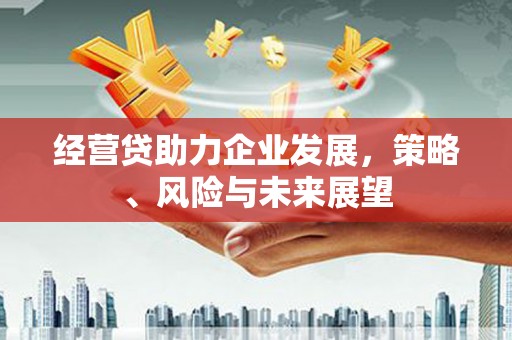 朱家尖经营贷助力企业发展，策略、风险与未来展望