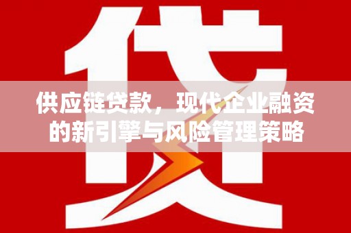 朱家尖供应链贷款，现代企业融资的新引擎与风险管理策略