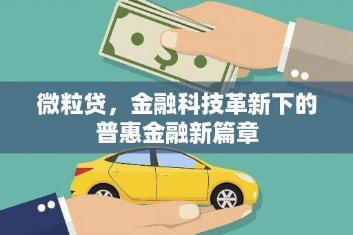 朱家尖微粒贷，金融科技革新下的普惠金融新篇章
