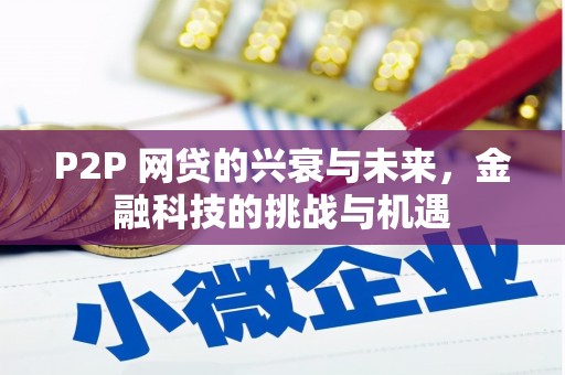 朱家尖P2P 网贷的兴衰与未来，金融科技的挑战与机遇