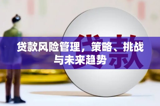 朱家尖贷款风险管理，策略、挑战与未来趋势