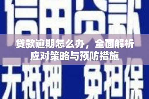 朱家尖贷款逾期怎么办，全面解析应对策略与预防措施