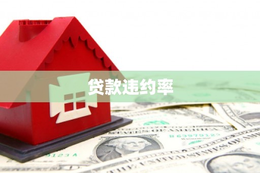 朱家尖贷款违约率