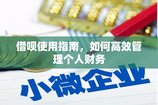 朱家尖借呗使用指南，如何高效管理个人财务