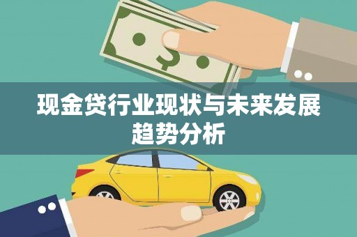 朱家尖现金贷行业现状与未来发展趋势分析