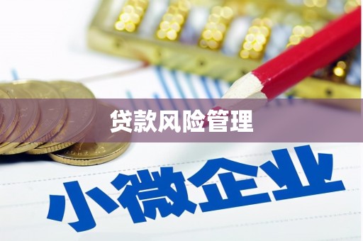 朱家尖贷款风险管理