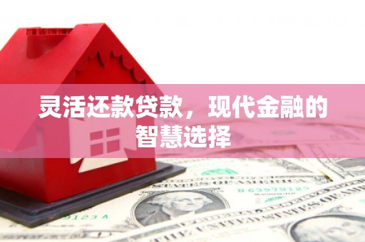 朱家尖灵活还款贷款，现代金融的智慧选择