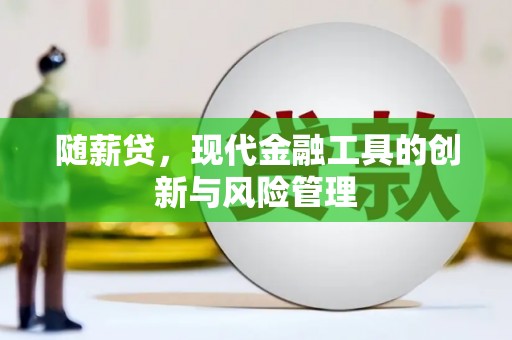 朱家尖随薪贷，现代金融工具的创新与风险管理