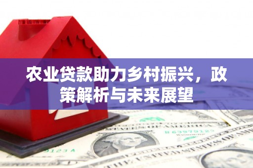 朱家尖农业贷款助力乡村振兴，政策解析与未来展望