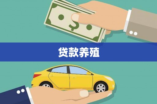 朱家尖贷款养殖