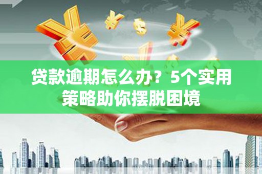 朱家尖贷款逾期怎么办？5个实用策略助你摆脱困境