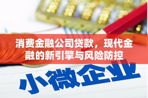 朱家尖消费金融公司贷款，现代金融的新引擎与风险防控