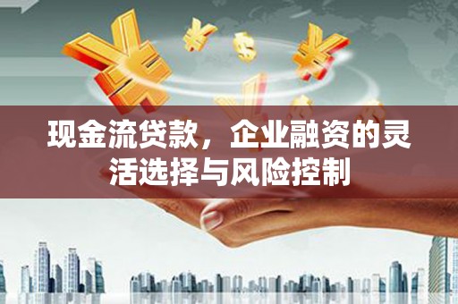 朱家尖现金流贷款，企业融资的灵活选择与风险控制