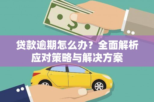 朱家尖贷款逾期怎么办？全面解析应对策略与解决方案