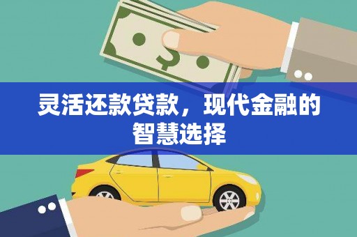 朱家尖灵活还款贷款，现代金融的智慧选择