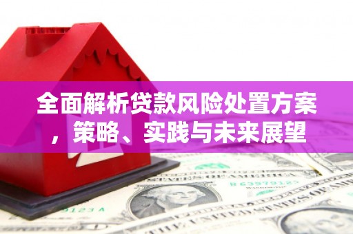 朱家尖全面解析贷款风险处置方案，策略、实践与未来展望