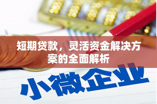 朱家尖短期贷款，灵活资金解决方案的全面解析