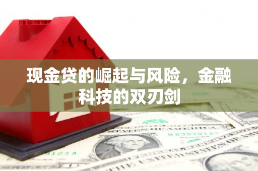 朱家尖现金贷的崛起与风险，金融科技的双刃剑