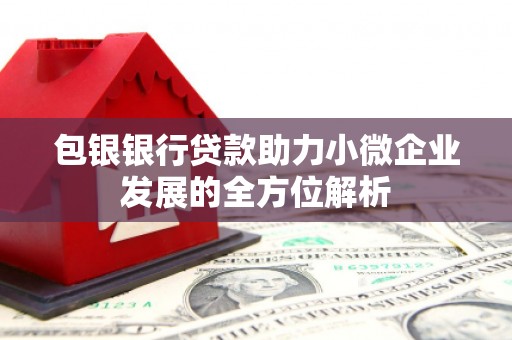 朱家尖包银银行贷款助力小微企业发展的全方位解析