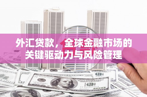 朱家尖外汇贷款，全球金融市场的关键驱动力与风险管理