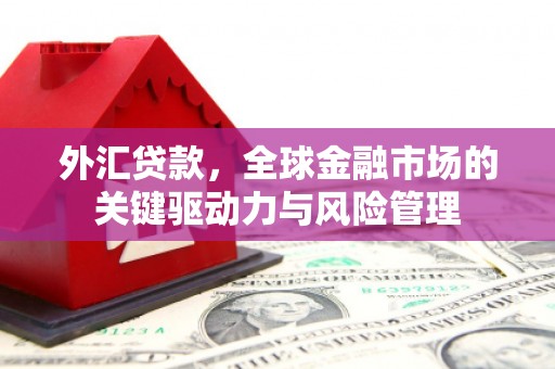 朱家尖外汇贷款，全球金融市场的关键驱动力与风险管理