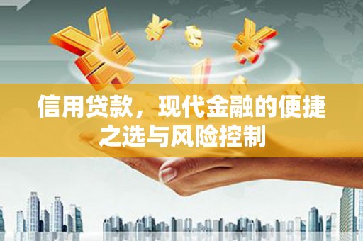 朱家尖信用贷款，现代金融的便捷之选与风险控制
