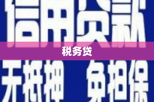 朱家尖税务贷