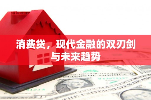 朱家尖消费贷，现代金融的双刃剑与未来趋势