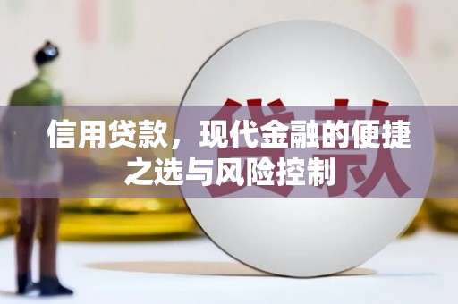 朱家尖信用贷款，现代金融的便捷之选与风险控制