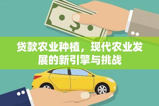 朱家尖贷款农业种植，现代农业发展的新引擎与挑战