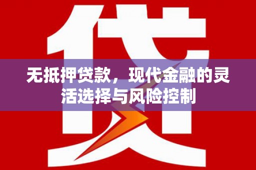 朱家尖无抵押贷款，现代金融的灵活选择与风险控制