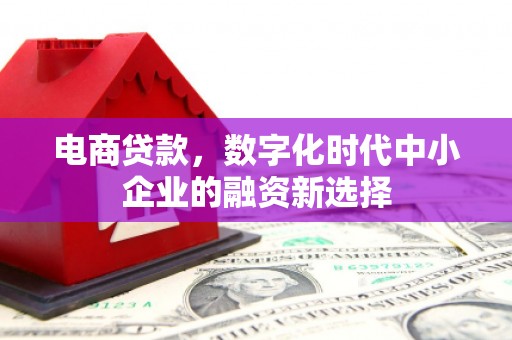 朱家尖电商贷款，数字化时代中小企业的融资新选择