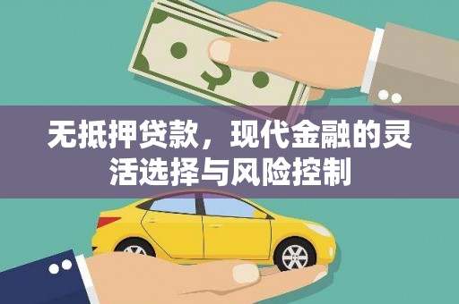 朱家尖无抵押贷款，现代金融的灵活选择与风险控制