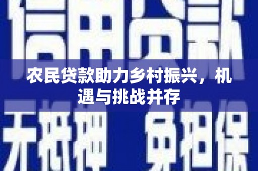 朱家尖农民贷款助力乡村振兴，机遇与挑战并存