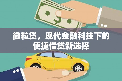 朱家尖微粒贷，现代金融科技下的便捷借贷新选择