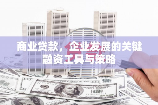 朱家尖商业贷款，企业发展的关键融资工具与策略
