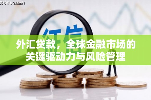 朱家尖外汇贷款，全球金融市场的关键驱动力与风险管理