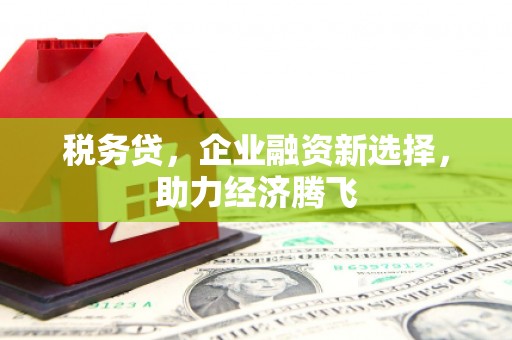 朱家尖税务贷，企业融资新选择，助力经济腾飞