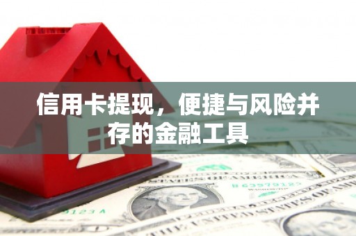 朱家尖信用卡提现，便捷与风险并存的金融工具