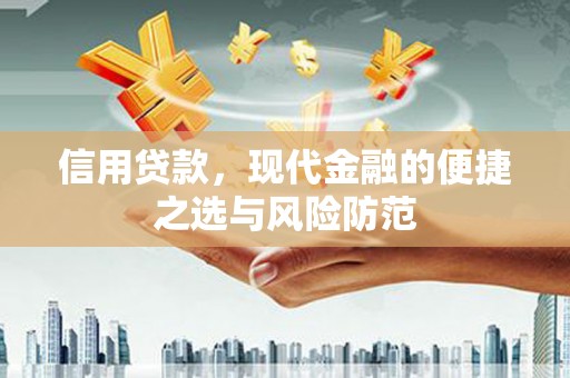 朱家尖信用贷款，现代金融的便捷之选与风险防范